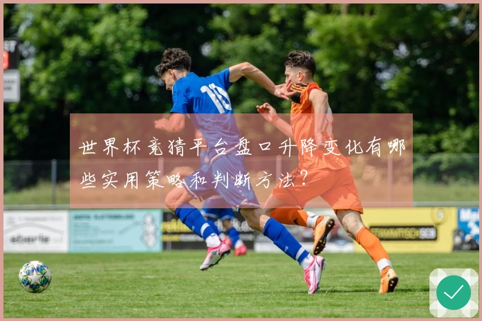 世界杯竞猜平台盘口升降变化有哪些实用策略和判断方法？